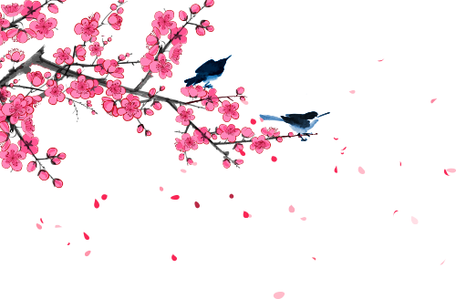 微信图片_20250407101859.png